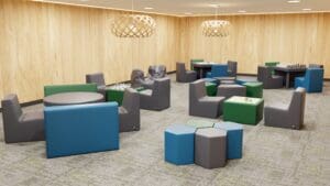 Youth Justice environment
