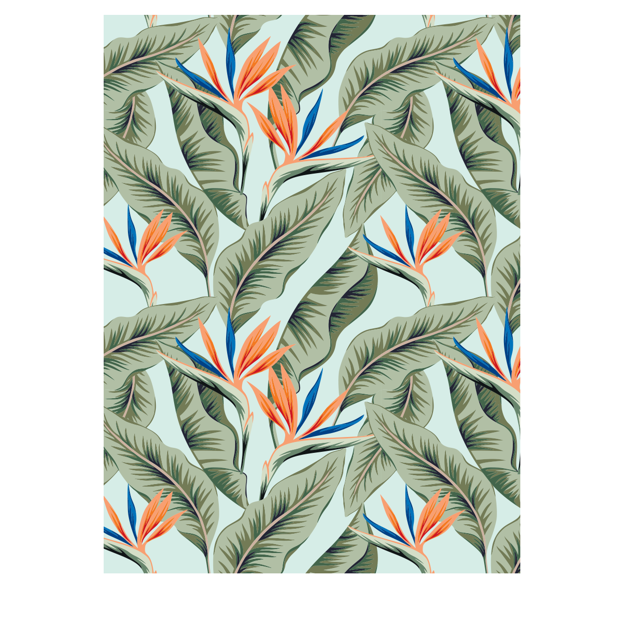 Tropical Plants