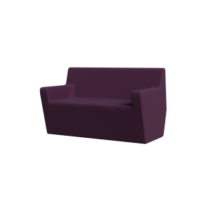 AR41 – AsterPurple 2